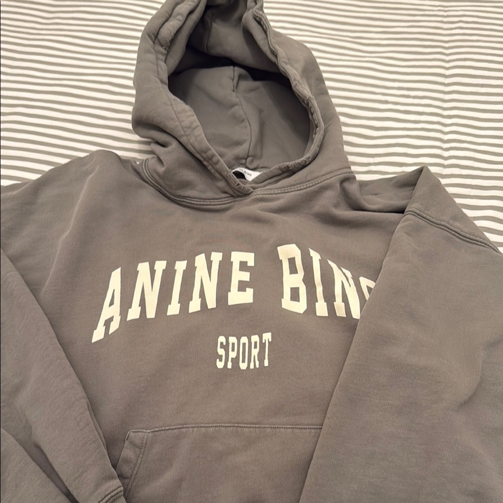 Anine Bing Gray Hoodie